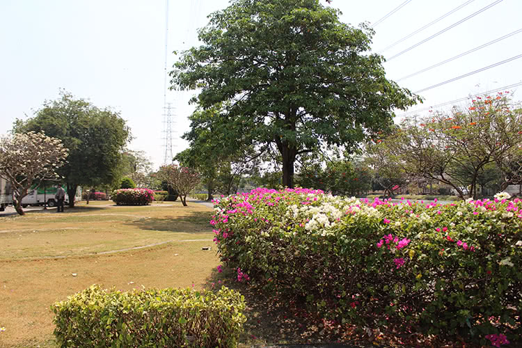 บ้านชวนชื่นพัฒนาการ - บรรยากาศ - 3