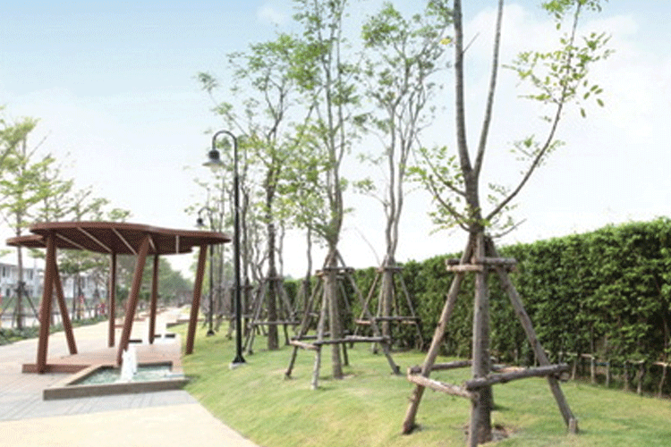 ฟลอร่า ดิวิน่า บาย สัมมากร - บรรยากาศ - 3