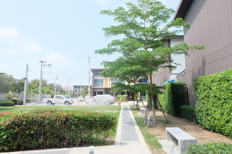 สินนคร วิลล์ ประชาอุทิศ-คู่สร้าง - บรรยากาศ - 3