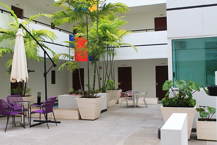 อาร์ท ออน เดอะฮิลล์ - บรรยากาศ - 3
