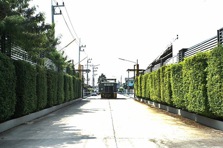 บ้านประชาสุข 5 - บรรยากาศ - 3