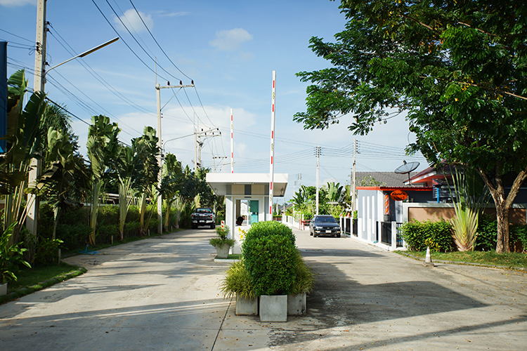 เพลินไพลิน-แปลงยาว - บรรยากาศ - 3