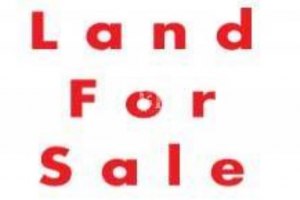 34515-9101 - Nonsi Land for sale plot size 275 acres