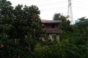 38620 - Ratchada-Wongsawang road Land for sale area 2460 Sqm