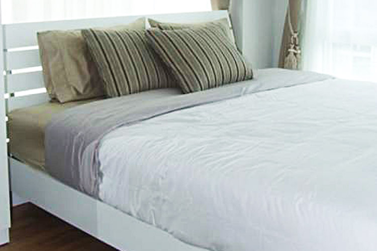 1 Bedroom ในโครงการ ลูคัสการ์เด้นท์-แฟมมิลี่เฮ้าส์, ภาพที่ 4