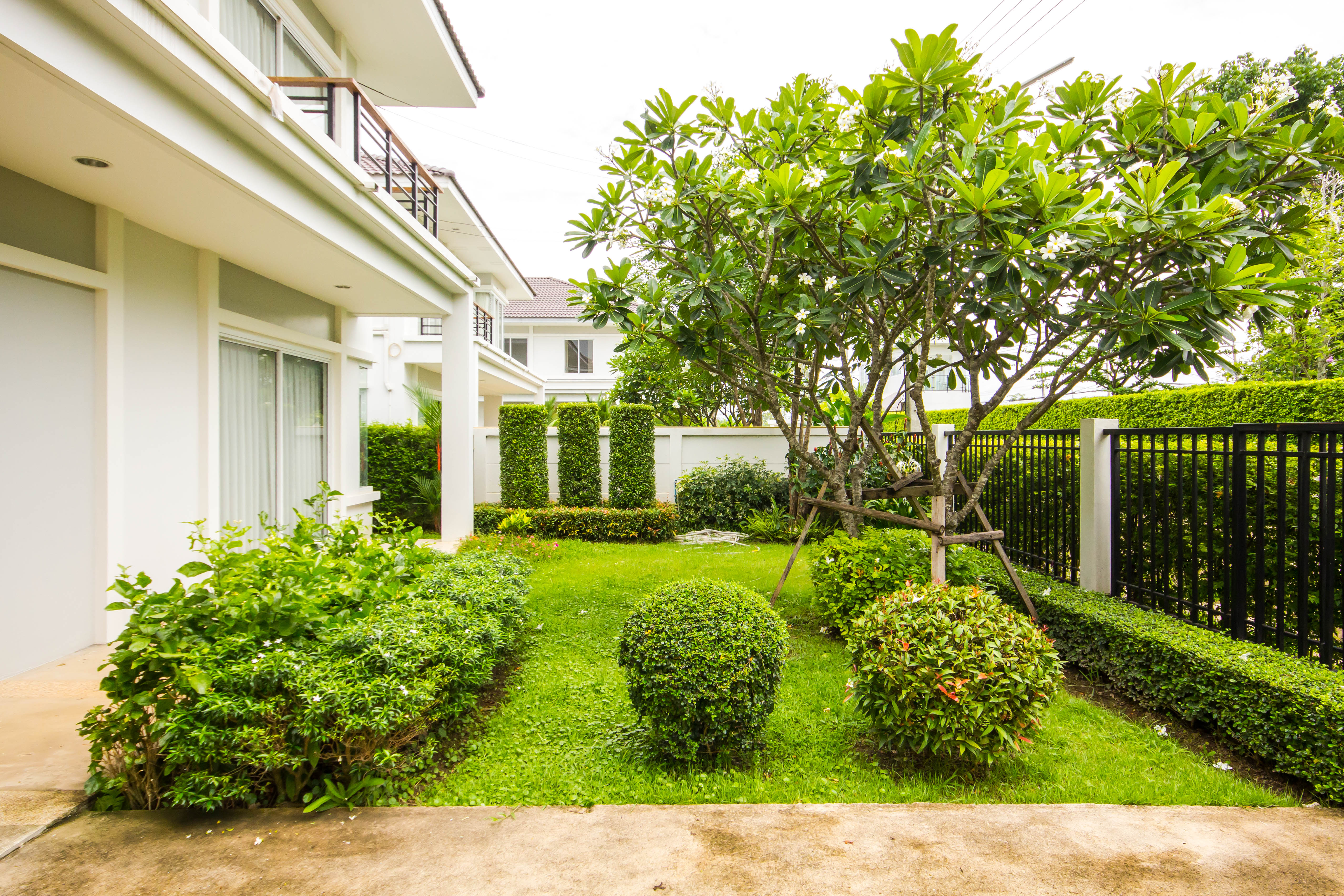 Boulevard (C) ในโครงการ เดอะฟายน์เรสซิเดนซ์ แอท เชียงราย, ภาพที่ 4