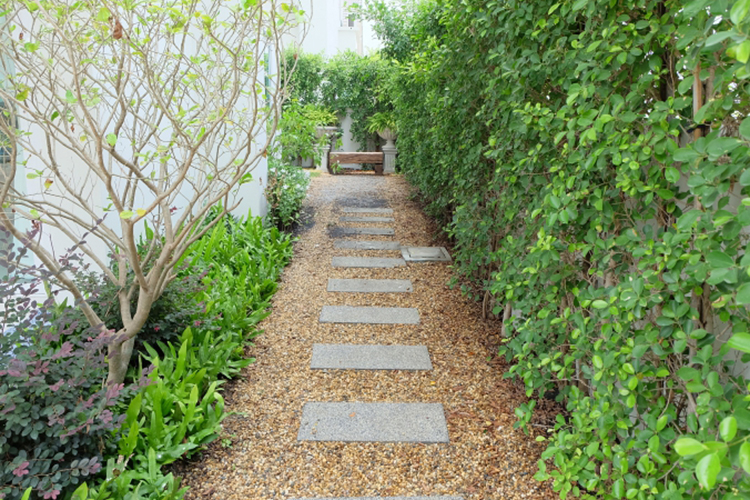 Charming Twin-House ในโครงการ นครทอง โคโลนี่ ศรีนครินทร์, ภาพที่ 4