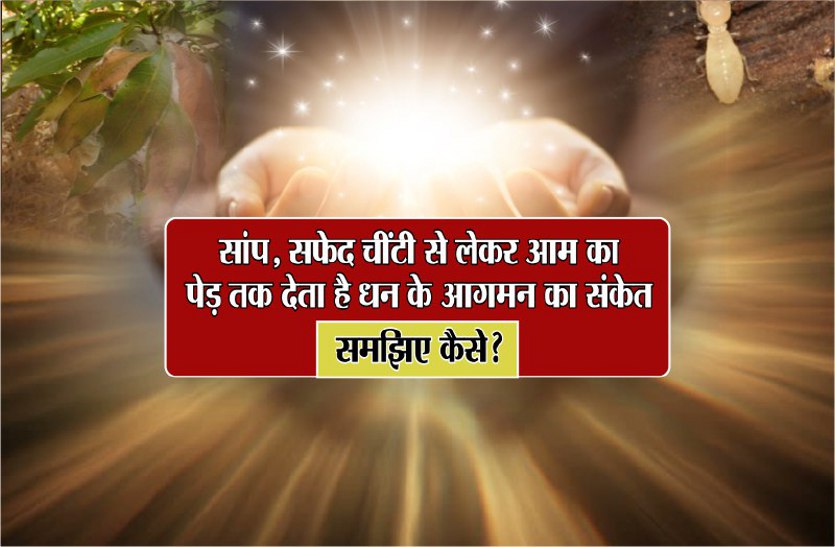 gonna rich soon ये संकेत बताते हैं आपके जीवन में धन आगमन से जुड़ी कुछ खास बातें, ऐसे समझें इन्हें...
