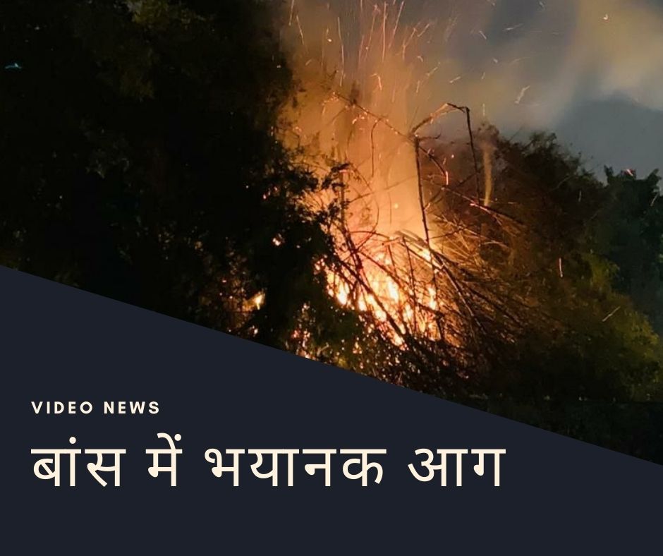 horrific fire in bamboo, burning bamboo video record