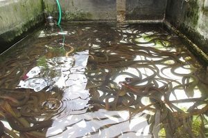 87 Gambar Air Jernih Bergerak Paling Keren 87 Gambar Air Jernih Bergerak Paling Keren