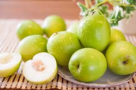 85+ Gambar Pohon Buah Apel India HD 85+ Gambar Pohon Buah Apel India HD