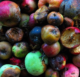 400 Gambar Buah Buahan Busuk Gratis 400 Gambar Buah Buahan Busuk Gratis