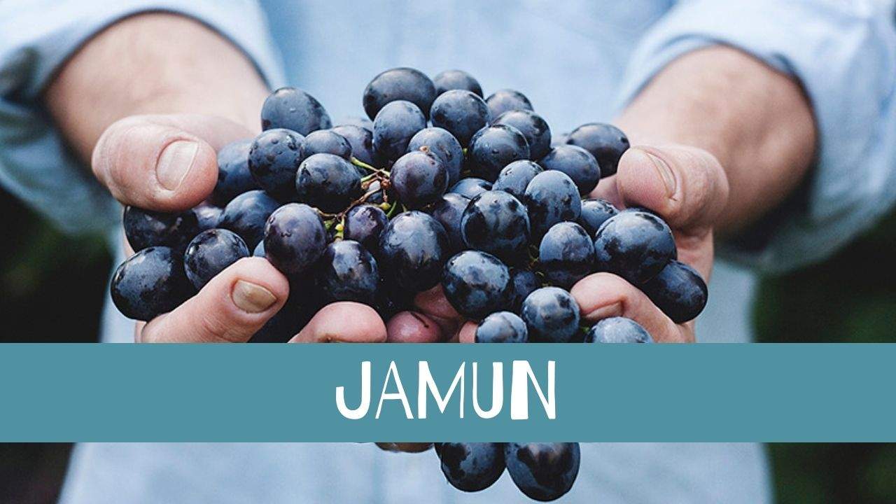 Jamun Health Benefits, Uses, Dosage and Side Effects
