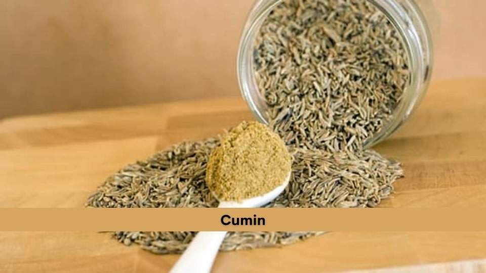 Cumin Health Benefits, Uses, Dosage and Side Effects