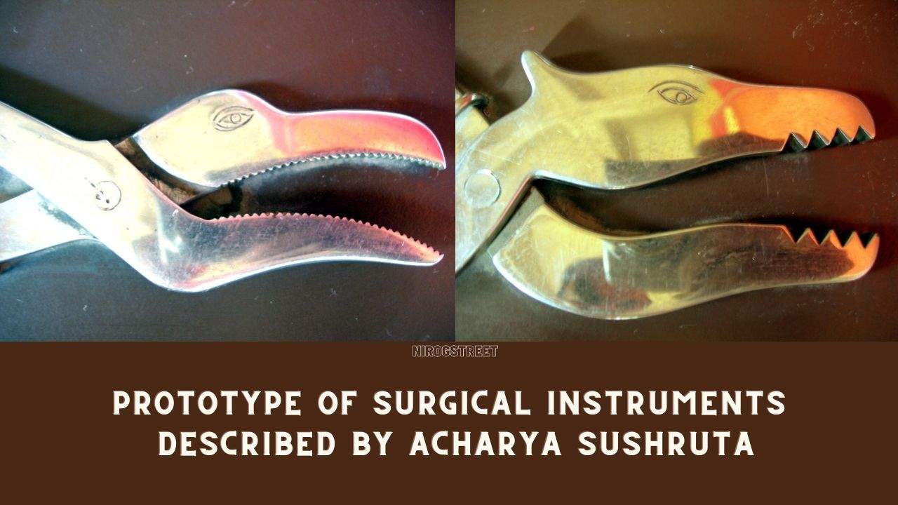 आचार्य सुश्रुत द्वारा वर्णित सर्जरी के उपकरणों की प्रतिकृति