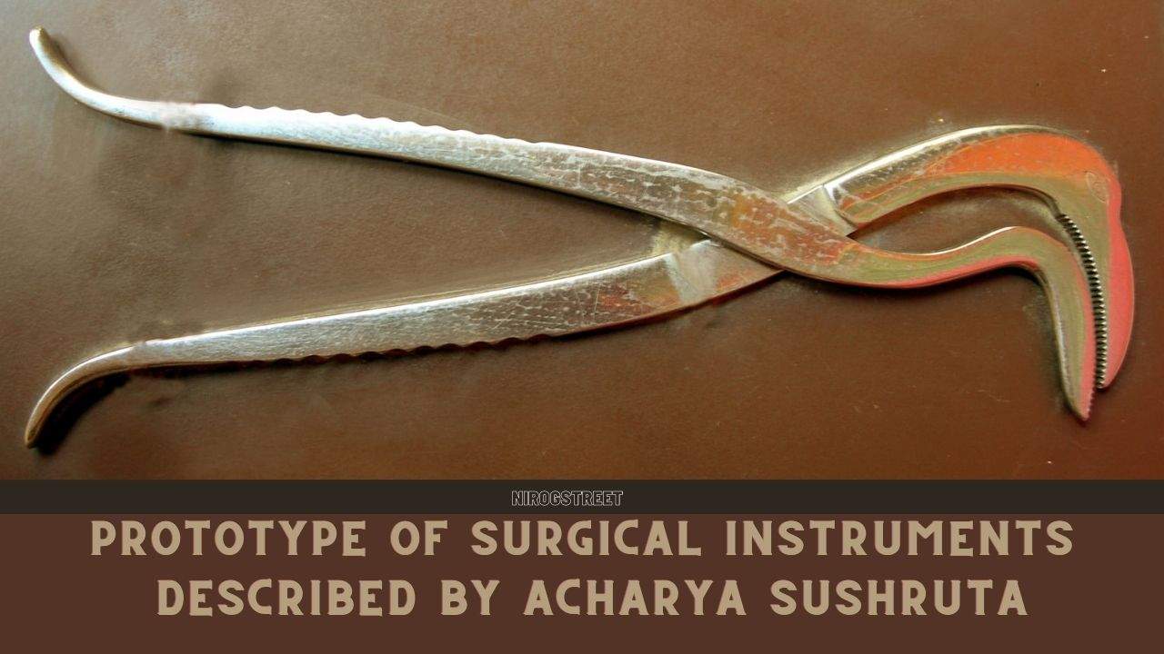 आचार्य सुश्रुत द्वारा वर्णित सर्जरी के उपकरणों की प्रतिकृति