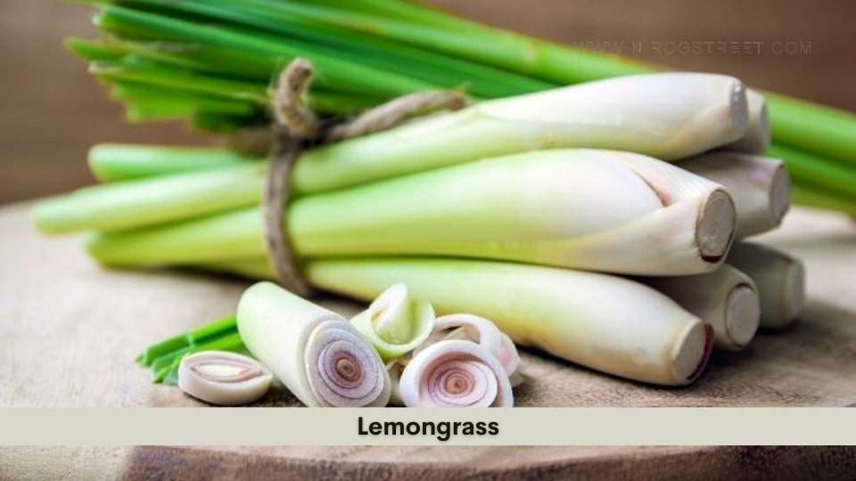 Lemongrass Health Benefits, Uses, Dosage and Side Effects