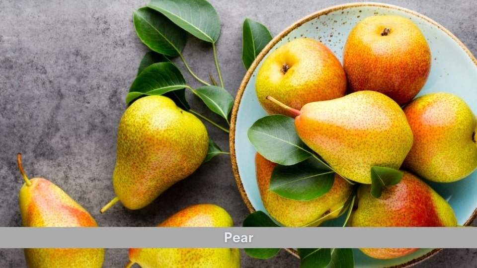 Pear Health Benefits, Uses, Dosage and Side Effects