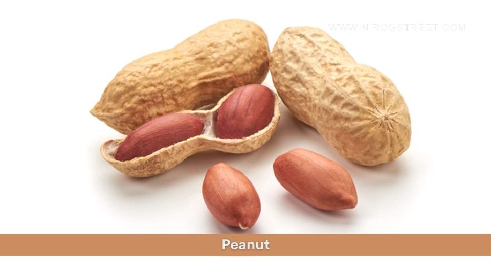 Peanut Health Benefits, Uses, Dosage and Side Effects