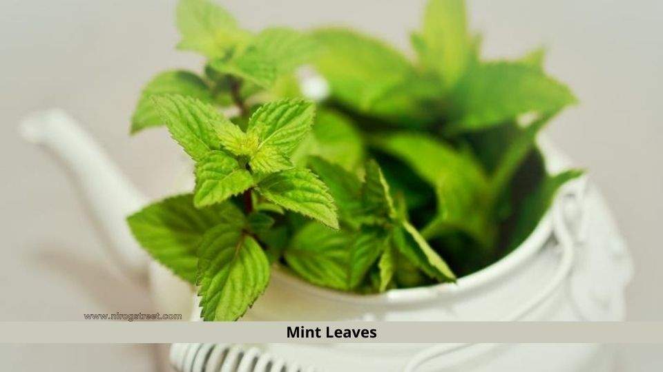 Top 10 Health Benefits of Mint Leaves