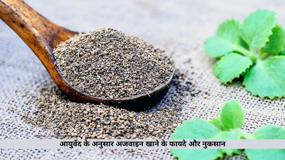 अजवाइन खाने के फायदे और नुकसान
