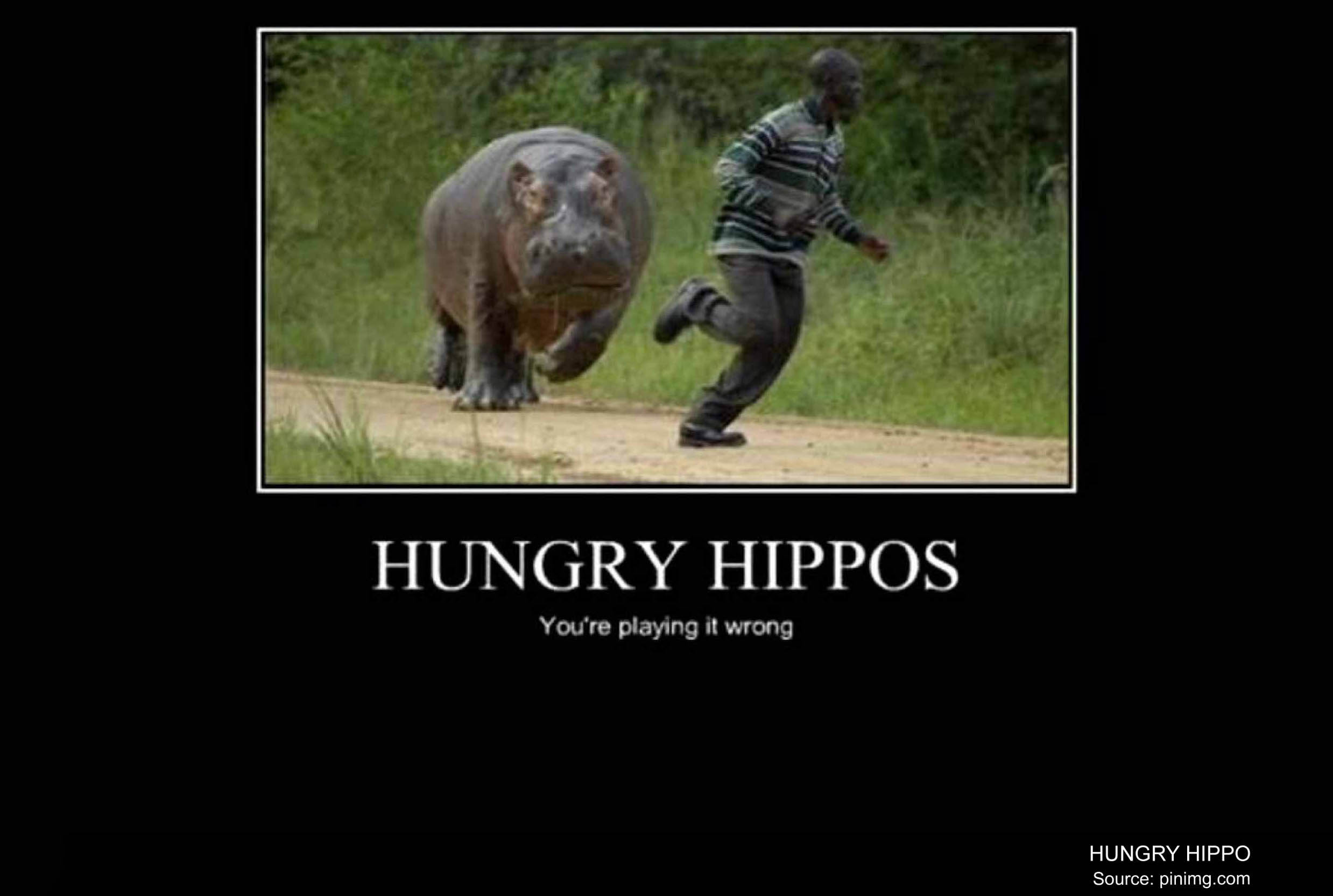 Human Hungry Hippo