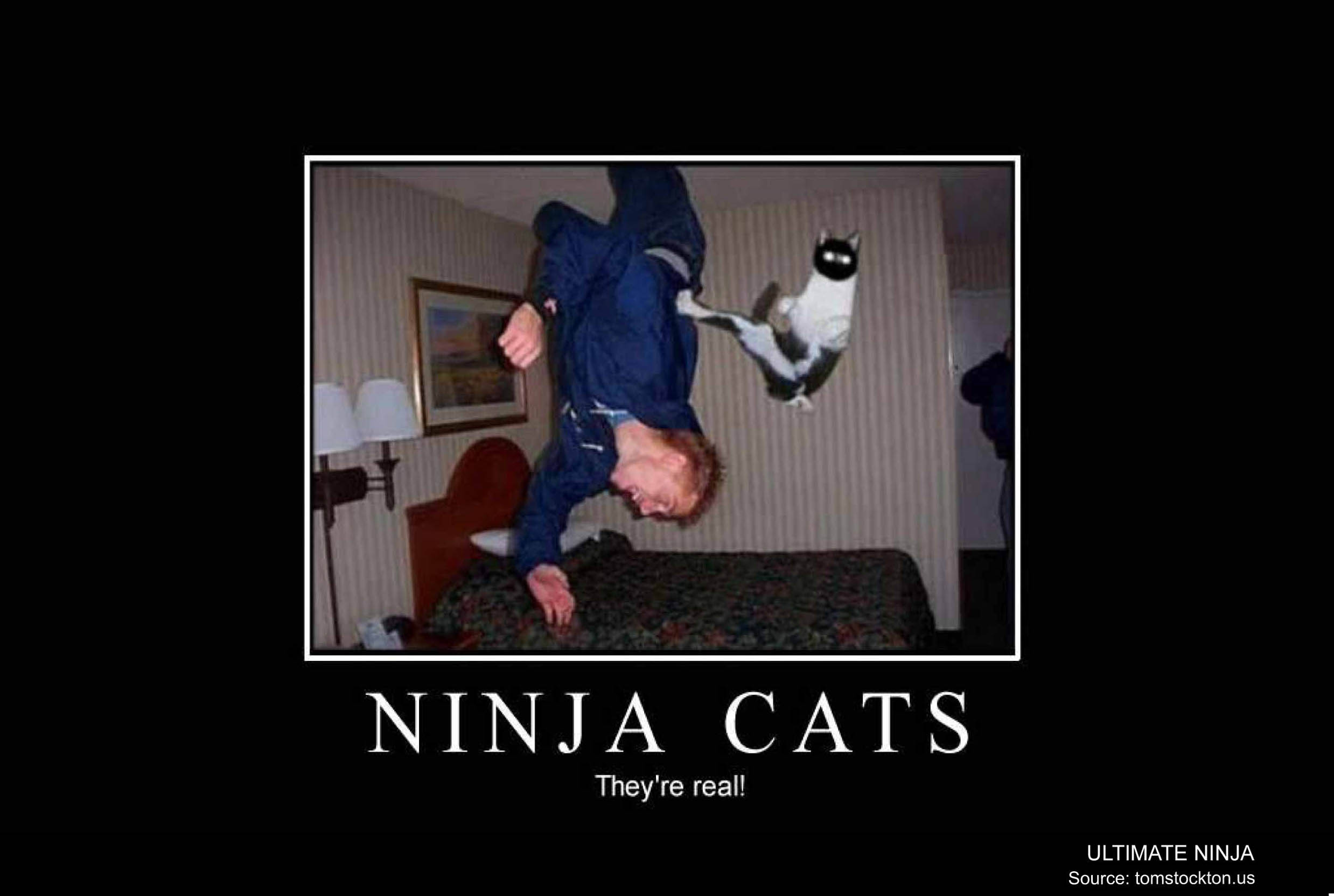 Ultimate Ninja