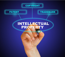 INTELLECTUAL PROPERTY