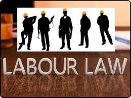 Labour & Employment
