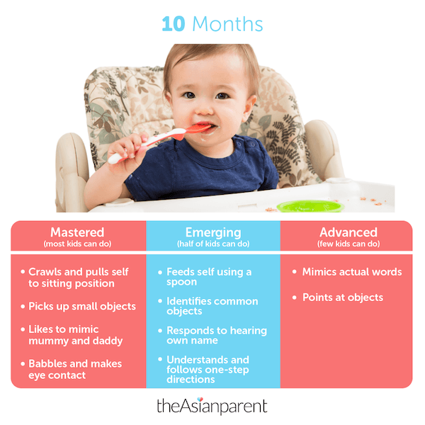 Baby Development Your 10-month-old Webmdwebmd