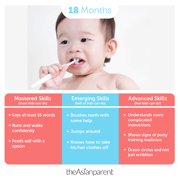 Track your baby's growth - Month 18 - theAsianparent