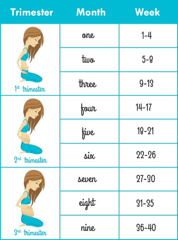 Baby Cara Kira Bulan