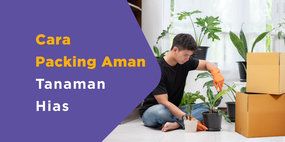 Tips Packing Tanaman Hias Agar Tetap Segar Selama Pengiriman
