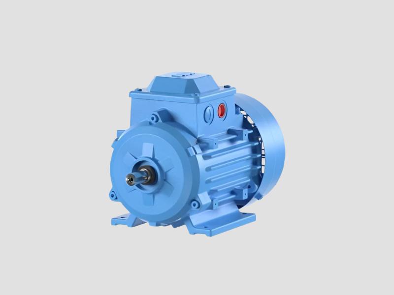 Induction Motor