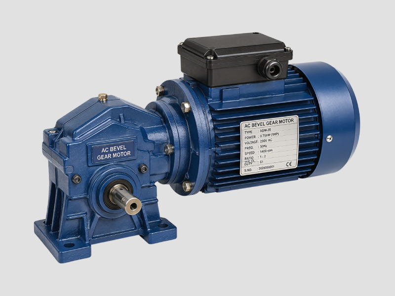 AC Bevel Gear Motors