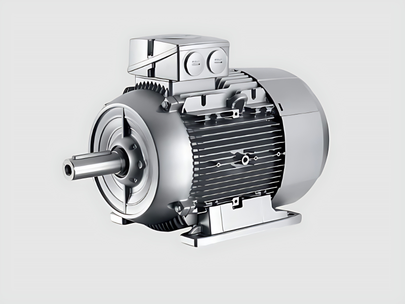 Squirrel Cage Motor For Industrial Applications