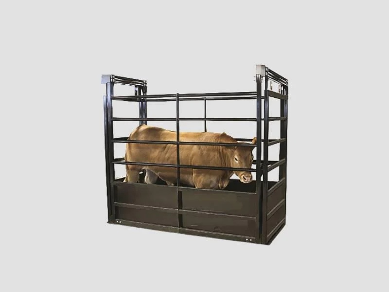 Animal Weighing Scale Heavy Duty Steel Platform Farm Use