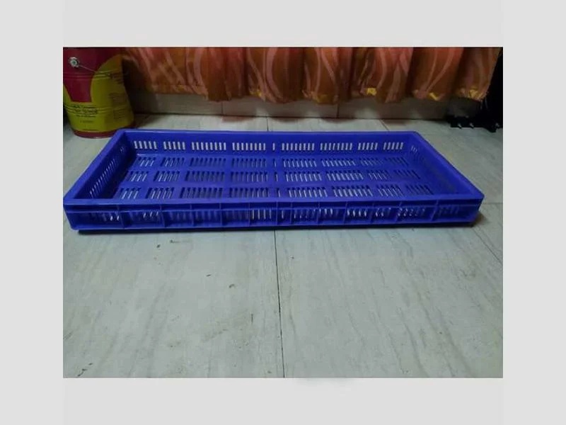 Ribbon Style Fish Crate — Durable Plastic For Fish Handling | Royal Crate Hub, Chennai