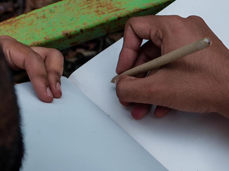 Sustainable Seed Pen Plantable For Office Use