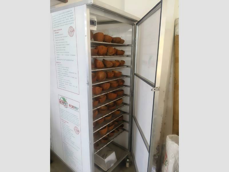 Multi Tray Electric Food Dehydrator Cabinet For Vegetable And Fruit Drying Use