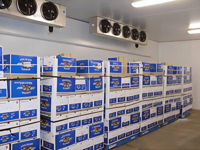 Controlled Atmosphere Storage Solution For Fresh Produce Handling