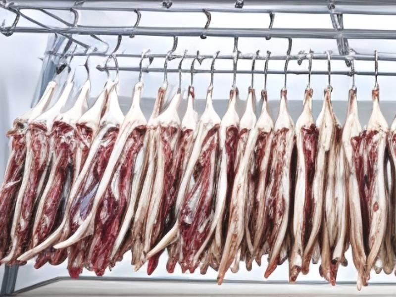 Temperature Controlled Cold Storage Unit for Meat Processing Industry