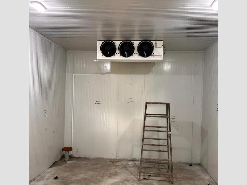 Freezer Cold Room Low Temperature Storage Solution For Frozen Products