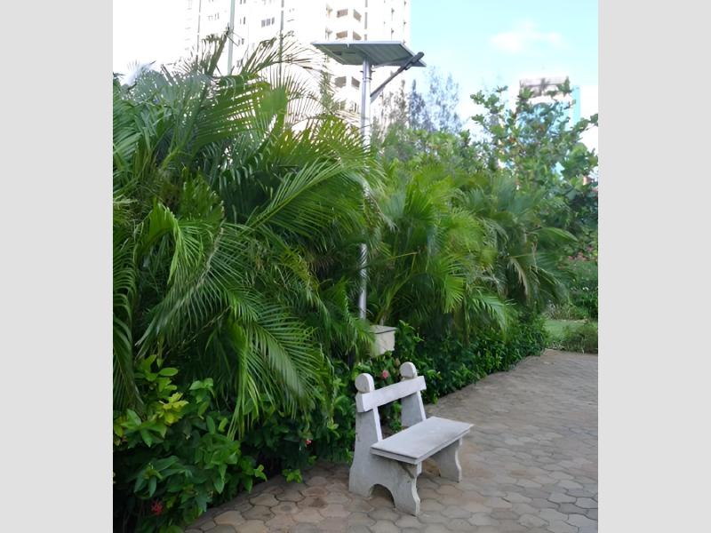 Advanced Solar Panel System For Street Lights And Outdoor Lighting