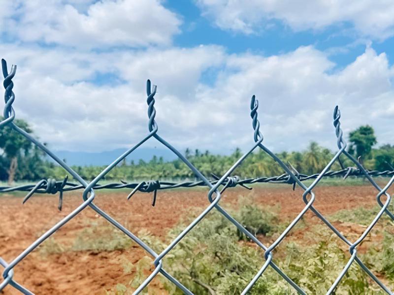 GI Wire Mesh 1.6-4mm Galvanized Iron for Boundary Fencing