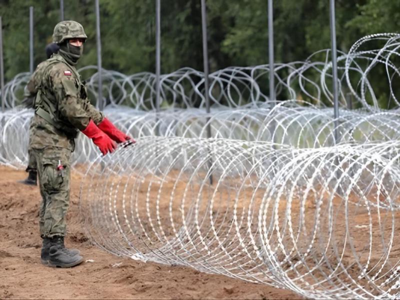 Razor Barbed Wire Double Concertina 12SWG Galvanized Iron