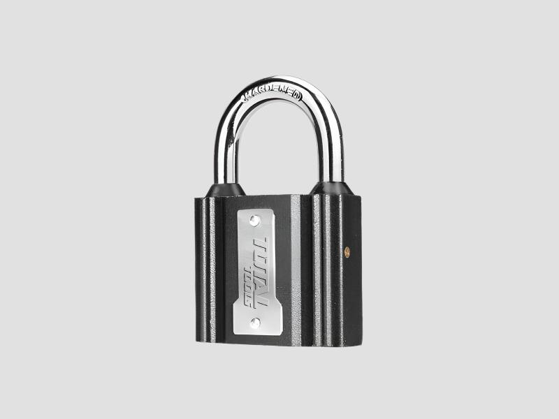 Total Iron Padlock- TLK31321