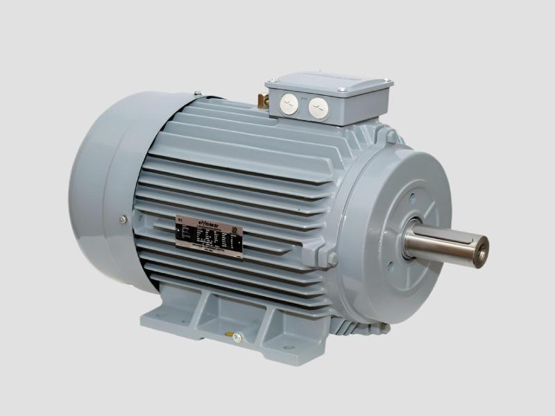 Electric Motor