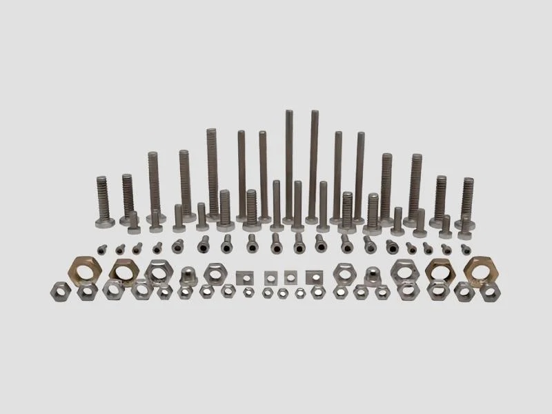 SS Fasteners