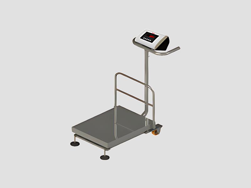 Essae 215SS Digital Platform Weighing Scale For Rugged Applications